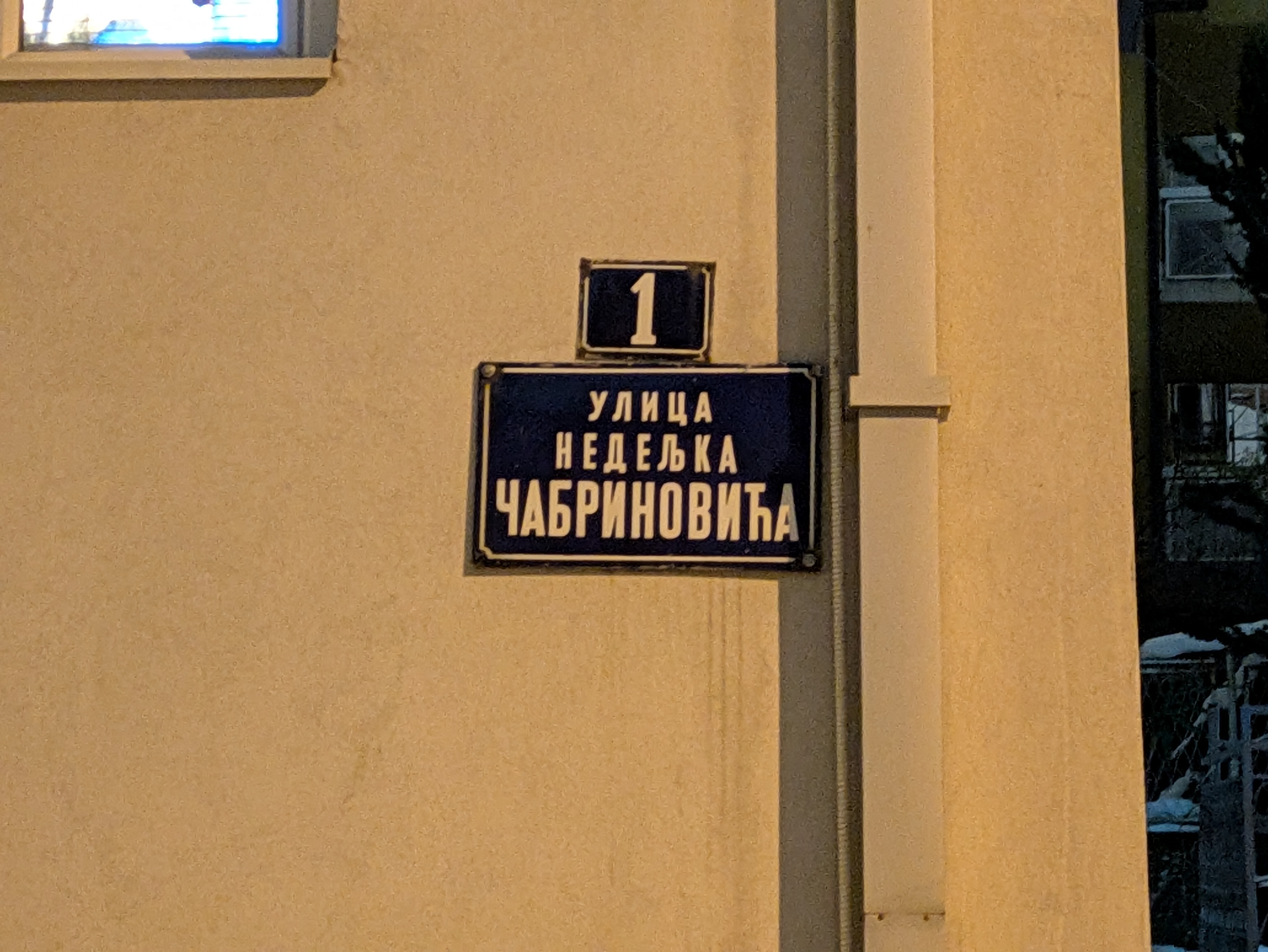 1 Nedeljka Čabrinovića